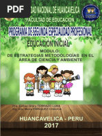 05 Estrategias Metodologicas en El Area de Ciencia y Ambiente