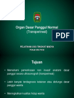 Organ Dasar Panggul Normal (1)