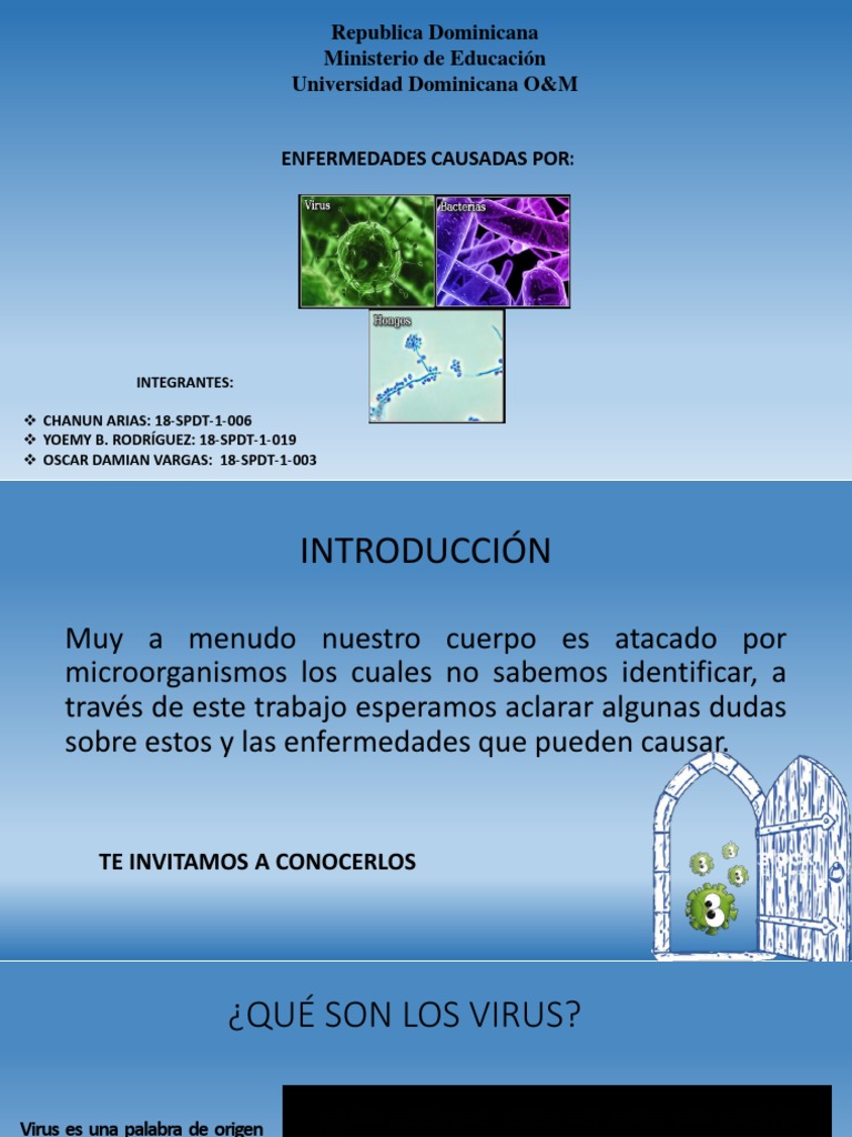Enfermedades por Virus y Bacterias | PDF | Virus | Las bacterias