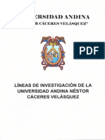 LÍNEAS-DE-INVESTIGACIÓN-1.pdf