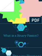 Prokaryotic Cell Division Binary Fission