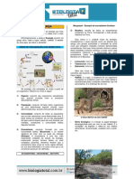 (Teoria) Fluxo Energia