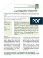 Antimicrobial Activity of Two Garlic Species (Allium Sativum and A