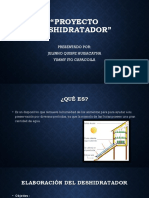 Proyecto Dehidratador