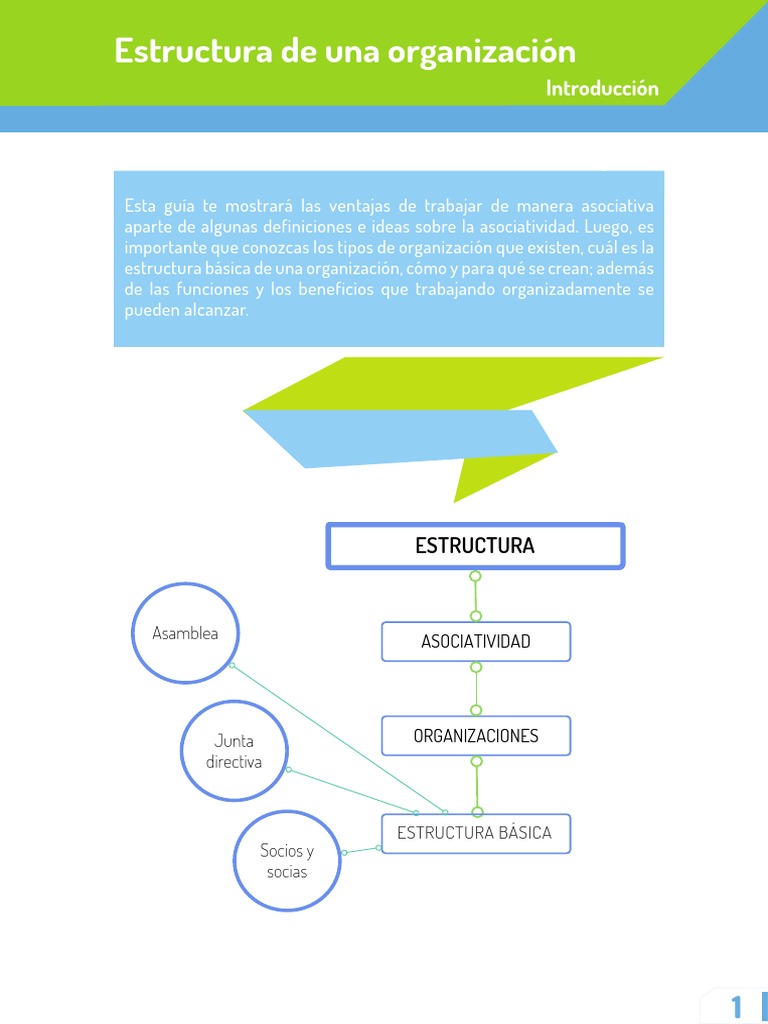 Estructura de Una Organizacion | PDF | Junta Directiva | Cooperativa