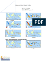 Indonesia Natural Disaster Profile: Flood Risk Highest