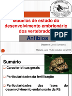 Controle de Fertilida Isramacarringue