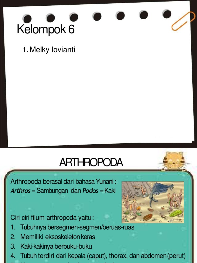 Arthropoda