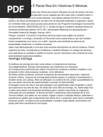 Moringa Oleífera É Planta Rica Em Vitaminas E Minerais