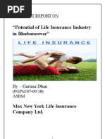 SIP project on Max Newyork Life