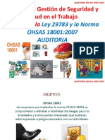 Clase 08. Auditoria en ISO 18001.2007