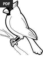 Sketsa Burung Docx