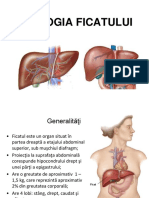 Fiziologia Ficatului