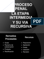 Derecho Procesal Penal