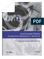 DocGo.Net-ConformaÃ§Ã£o PlÃ¡stica - Sanguinetti.pdf.pdf