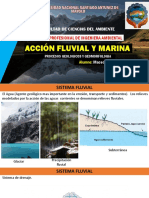 Accion Fluvial