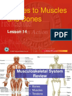 Injuries to Muscels and Bones