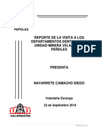 Reporte Visitas Departamentos Velardeña