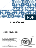 BRAQUIÓPODOS