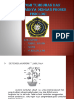 Anatomi Tumbuhan Dan Hubungannya Dengan Proses Fisiologi