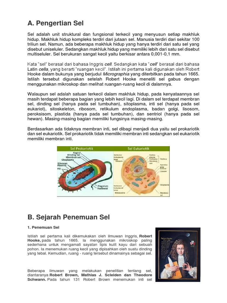 Biologi Sel