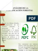 4.análisis de La Certificación Forestal