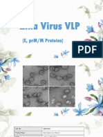 Zika Virus VLP