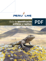 Guia_identificacion_anfibios-yreptiles.pdf