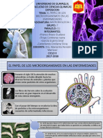 Taller 1ntroduccion A La Microbiologia