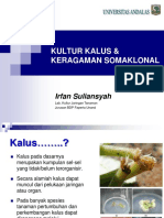 5844 - 5. Kultur Kalus & Keragaman Somaklonal