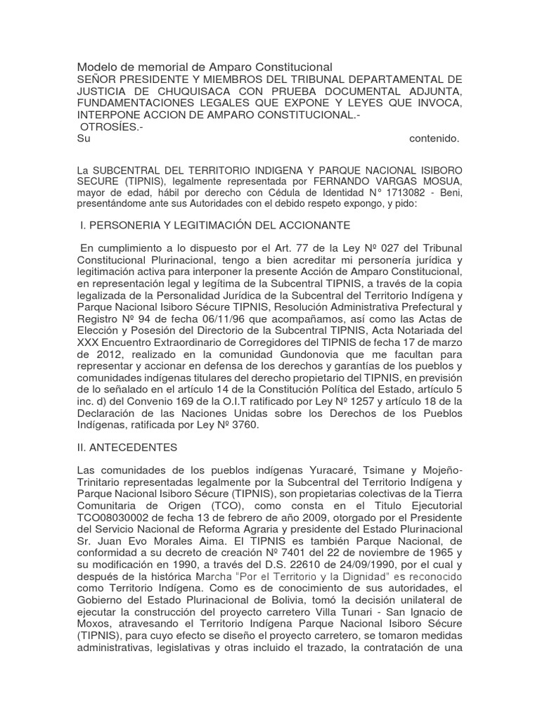 Modelo de Amparo Constitucional TIPNIS | PDF | Constitución | Derecho ...