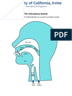 Articulatory System Diagram