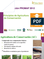 Principios Agricultura Conservación