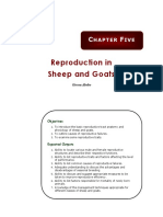 Chapter 5 - Reproduction in Sheep and Goats