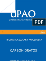 Biologia Celular y Molecular Carbohidratos PDF