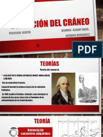 Evolución Del Cráneo