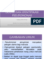 ISOLASI DAN IDENTIFIKASI PSEUDOMONAS AERUGINOSA