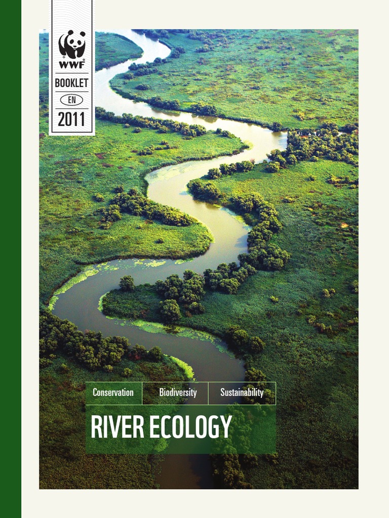 Riverecology Eng Bt13dec | PDF | River | Floodplain