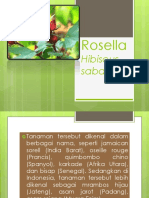 Presentasi Take & Give - Rosella