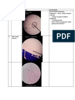 Word Praktikum Parasitologi