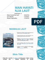 Mamalia Laut