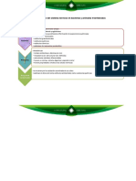 Desarrollo Sistema Nervioso Bacterias-Vertebrados