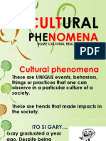 Understanding Society Through Cultural Phenomena