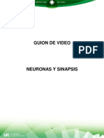 Guion de Video Neuronas y Sinapsis