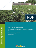 tecnicas-de-cultivo-y-comercializacion sandia.pdf