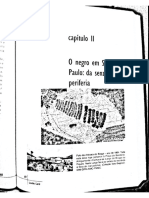 O Negro em São Paulo Da Senzala A Periferia PDF