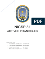 NICSP 31-ACTIVOS INTANGIBLES.doc