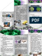 Falimia Parvoviridae PDF