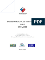 Informe Emse 2004-2005 Final