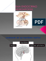  NEUROHIPOFISIS